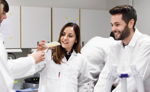 Insulin (Total) MBeads Assay