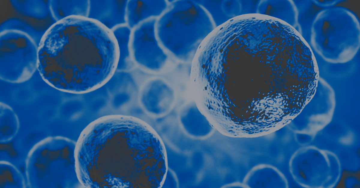 Diabetes in vitro models